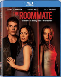 The Roommate (2011) Dual Audio [Hindi Enlgish] BRRip 720p