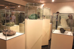 museo geologico uni
