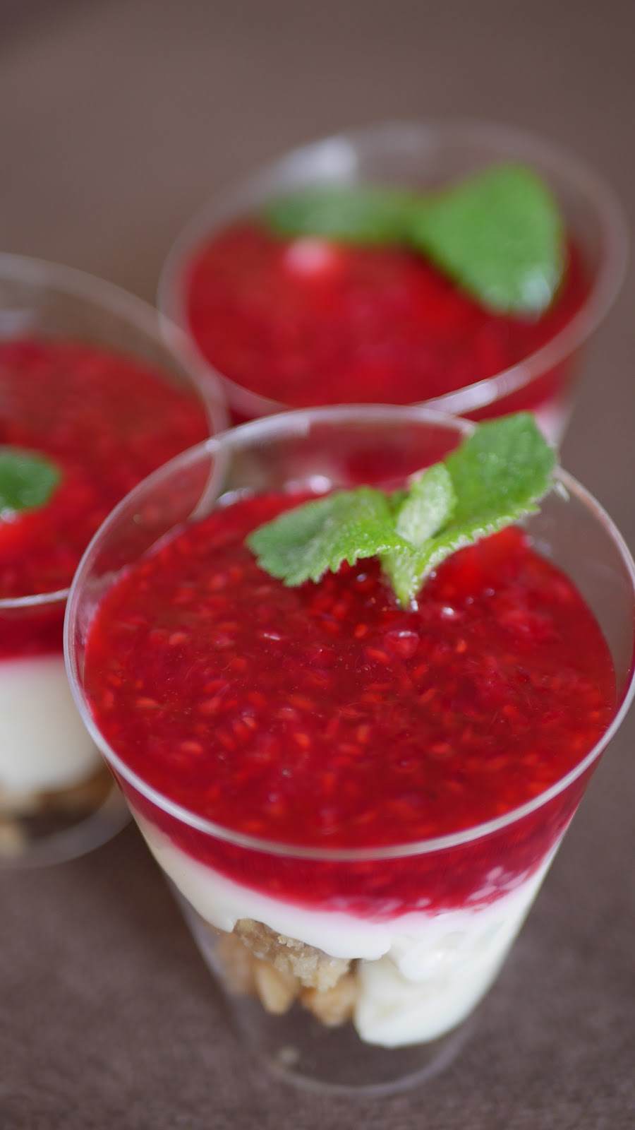 Panna Cotta z musem malinowym i granolą