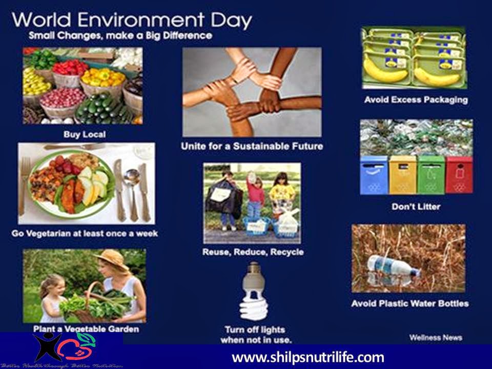 Save the environment and eat organic. Save our environment. саженцы в горшках. природа. Why we should save the food.