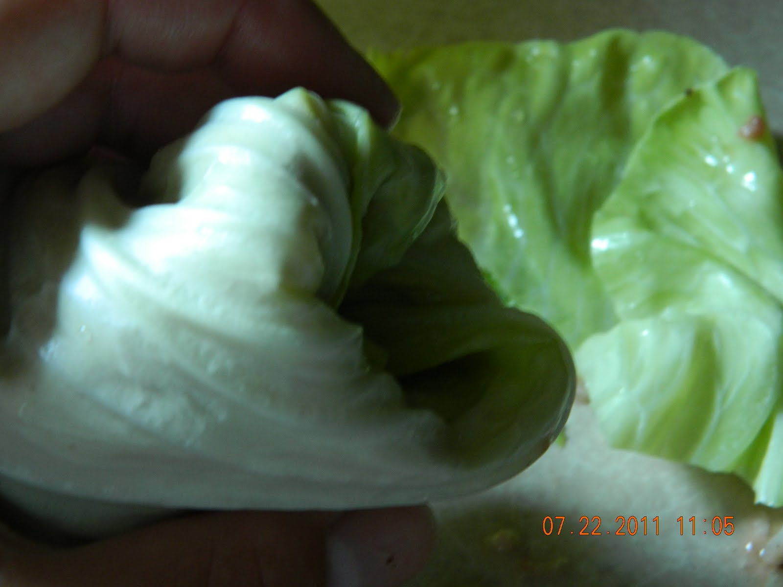 Cabbage Rolls (crockpot or electric roaster)