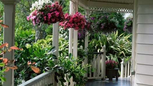 Spring Home and Garden Updates - A MUST read!