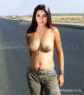 Asin's Milky cute Boobs Collection(nude and fake)