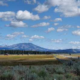 Looking northeast along highway 89 in northern California.