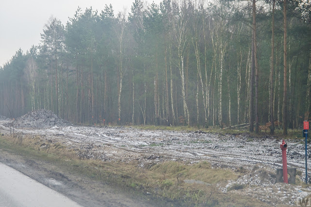 Rozbudowa ulicy Grunwaldzkiej w Bydgoszczy