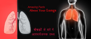 फेफड़ों के बारे आश्चर्यजनक तथ्य, Lungs Facts in Hindi फेफड़ों के बारे आश्चर्यजनक तथ्य, Lungs Facts in Hindi, phepdo ke bare me tathya, Facts about Human Lungs, Facts About Lungs, Amazing Facts About Your Lungs