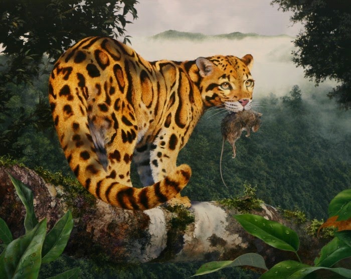Животные и пейзажи дикого мира. Mark Kelso