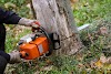 SHOULD FIXING QUALITY TREE CARE TAKE 20 STEPS?