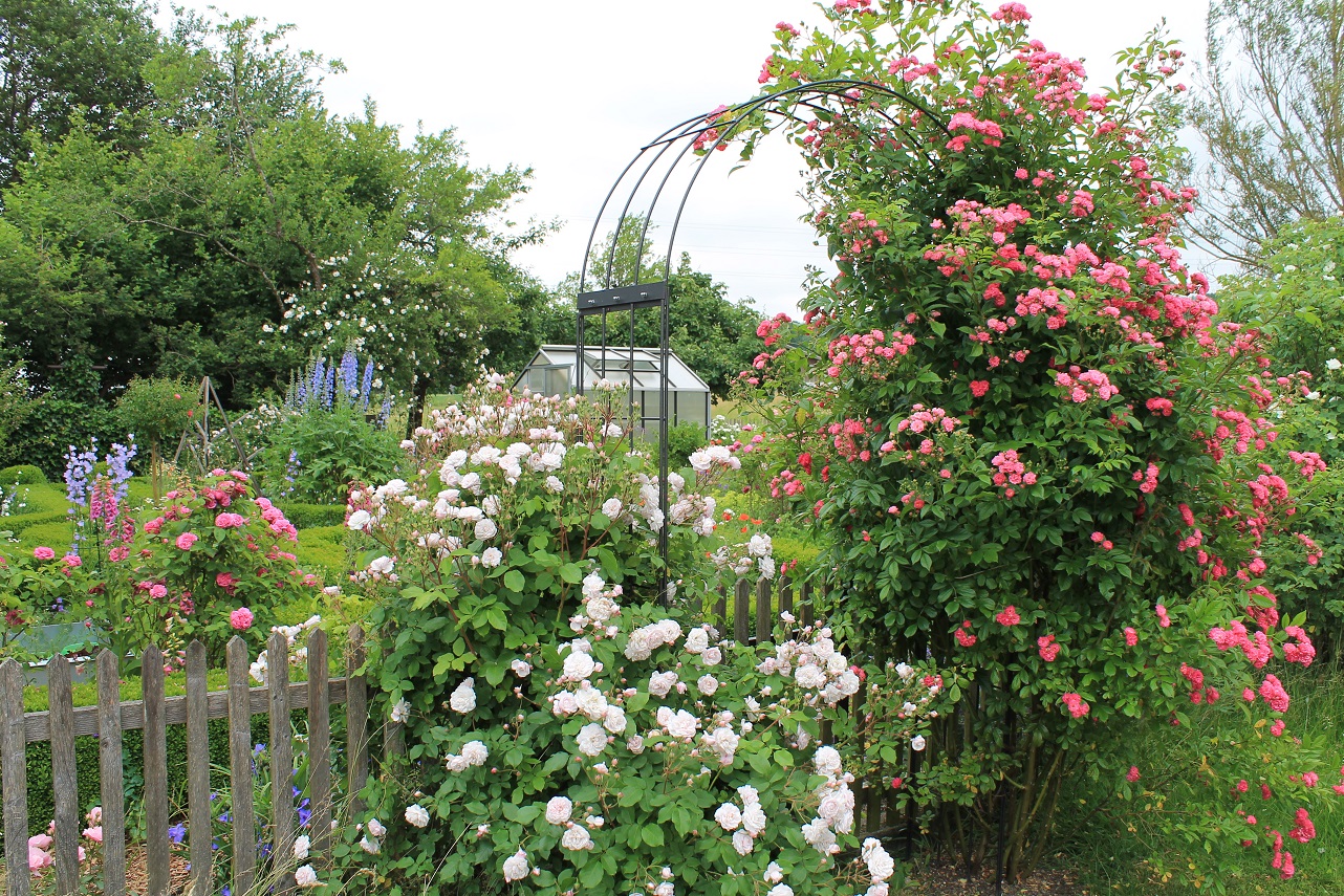 Belles Fleurs Garten, Haus, Natur Der nächste Sommer