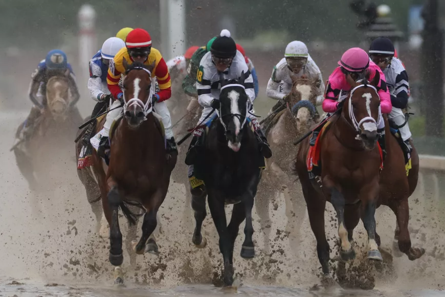 Why folks explore for racing Videos - Horse racing