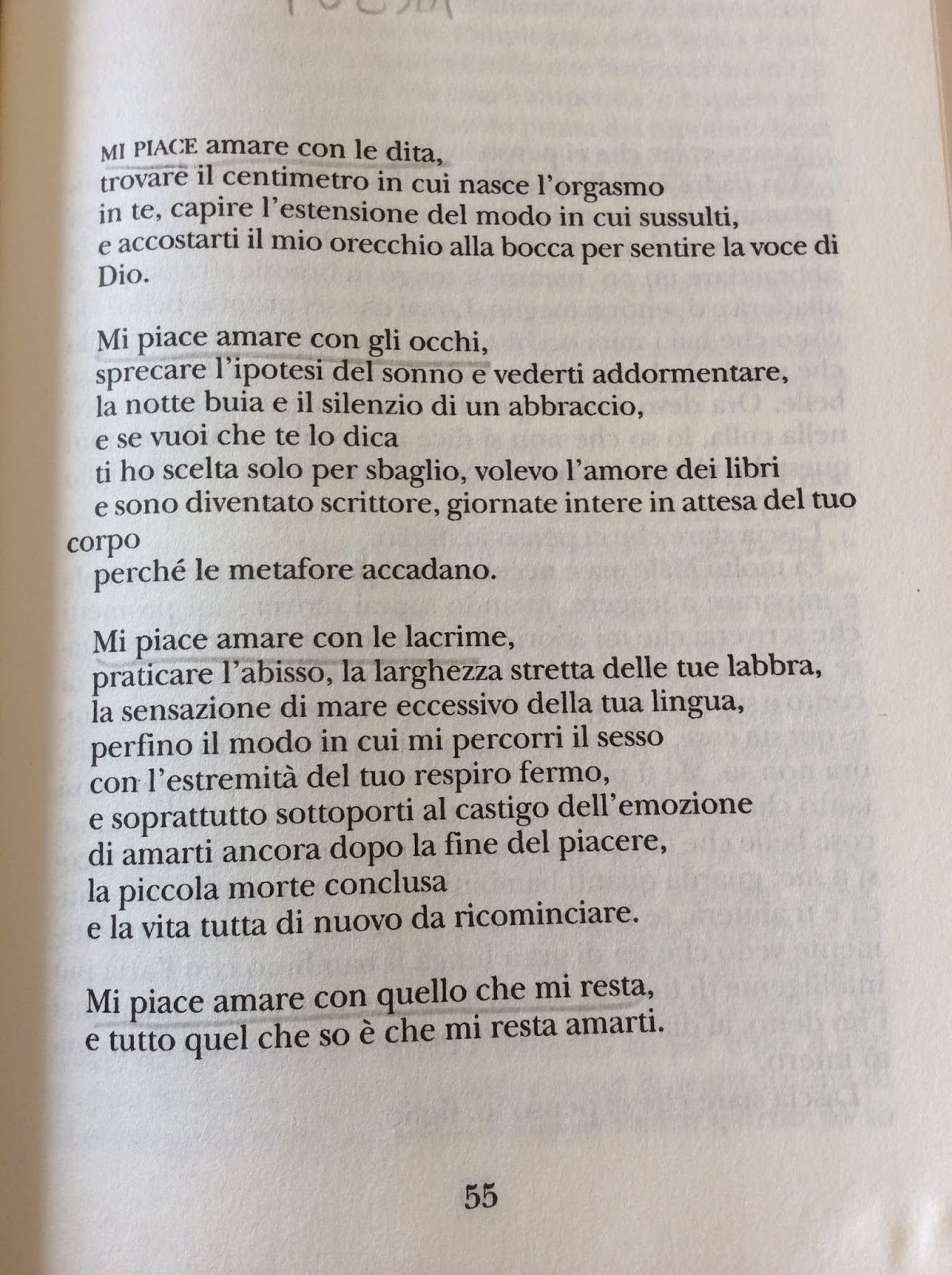 Il Taccuino Dello Scrittore Prometto Di Non Sbagliare Più