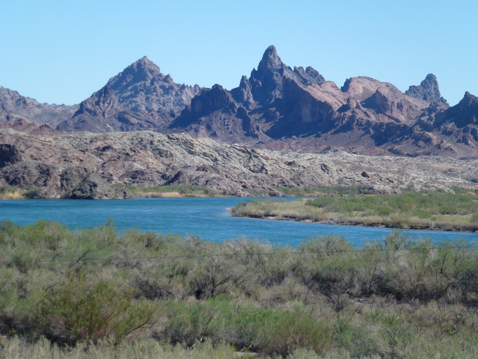 Road Runner Oatman Burros & Needles, CA