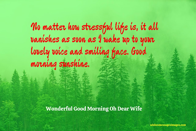 good morning my sweet wife good morning my sweet wife