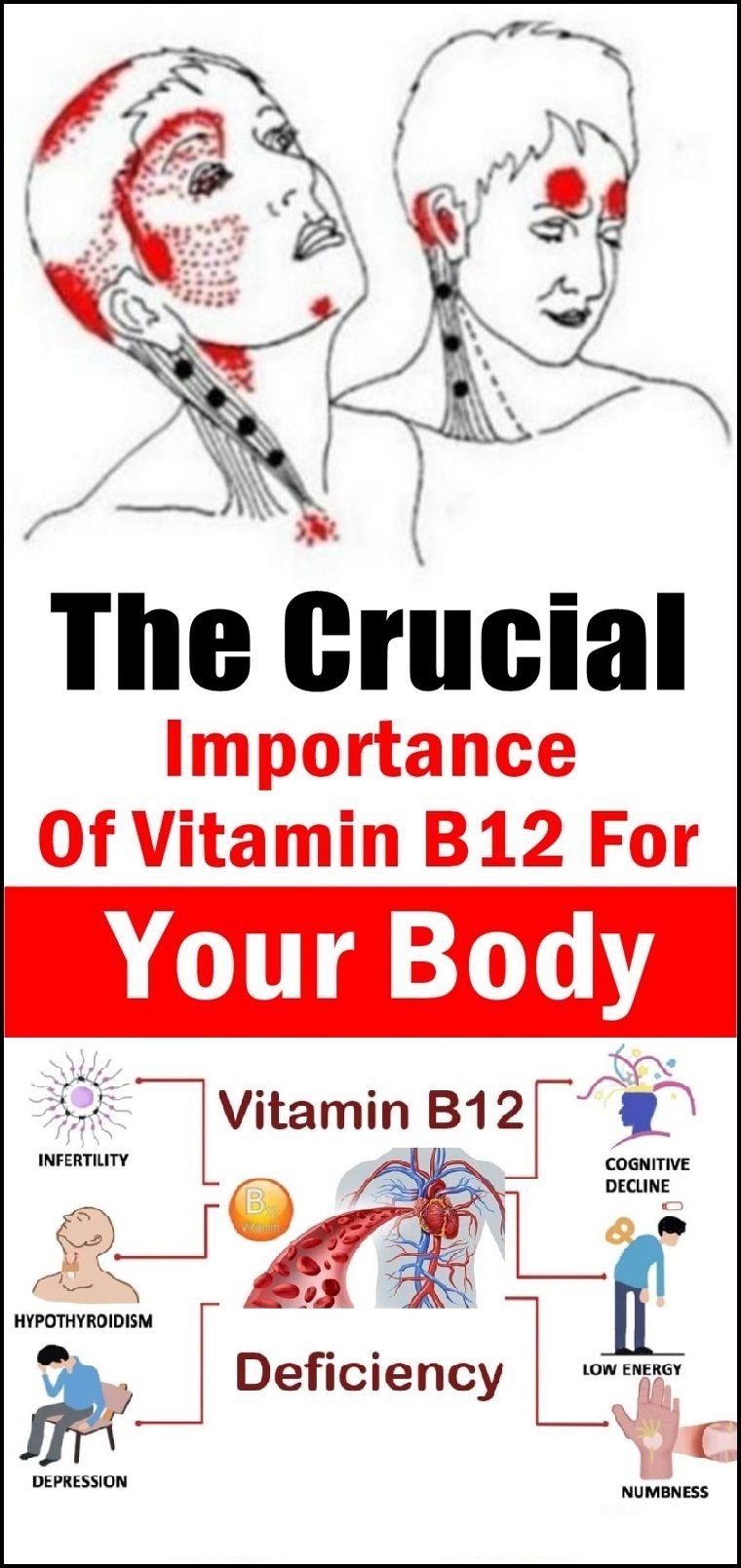 The Crucial Importance of Vitamin B12 For Your Body wellness magazine