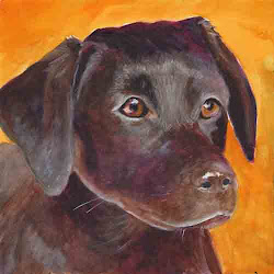 lab watercolor bunny artwork sennelier lb inches portrait dog paper