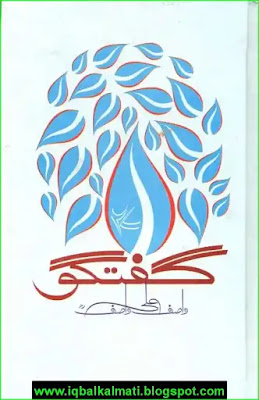 Wasif Ali Wasif Book Guftagu 27