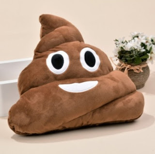 www.cndirect.com/cute-funny-emoji-cushion-toy-doll-sofa-decoration-poo-shape-pillow.html?utm_source=blog&utm_medium=cpc&utm_campaign=Zofia532