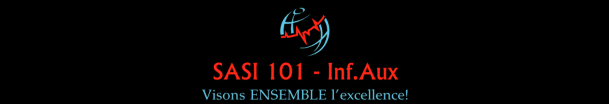 SASI 101-InfAux (Santé, assistance et soins infirmiers)