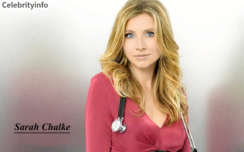 Sarah Chalke Bra Size, Wiki, Age, Boyfriend, Body Measurements, Height