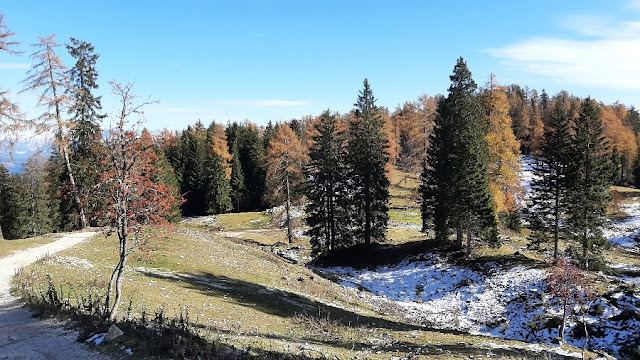 passo della mendola malga romeno