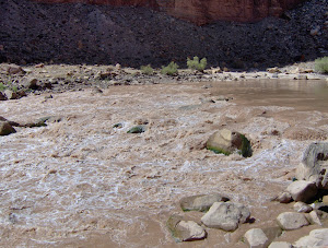 Cataract Canyon - 2006