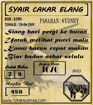 SYAIR SYDNEY 20-06-2019