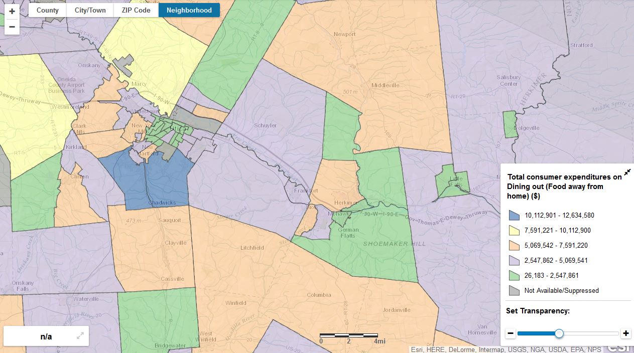 Herkimer and Oneida Counties Census Data Affiliate New Census  Tool