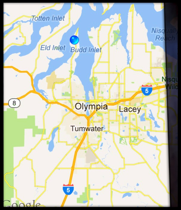 thurstonliving 2016andbeyond Thurston County Home Sales Snapshot Q1