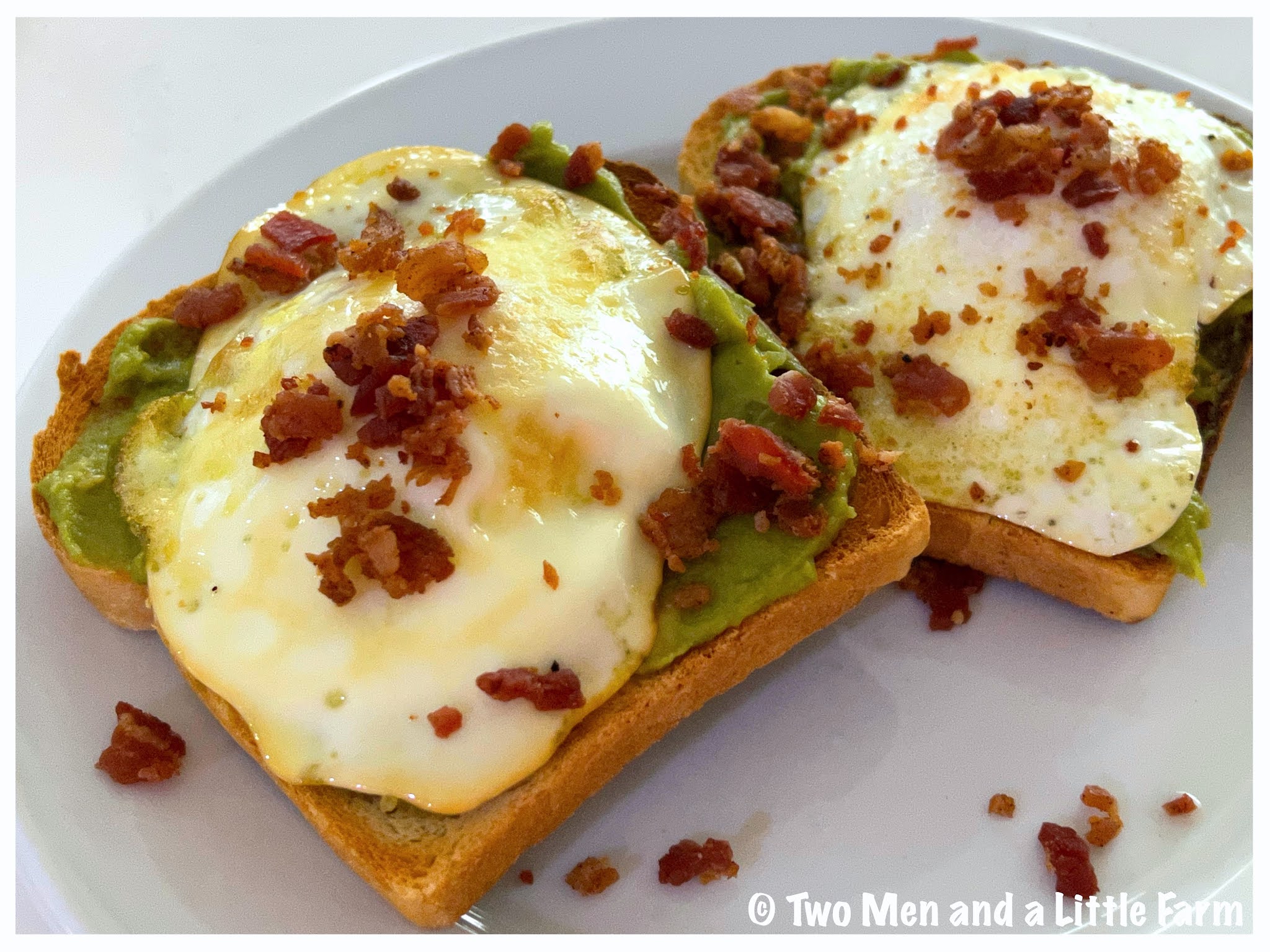 Two Men and a Little Farm GOOD FOOD AND HOBART SUNDAY