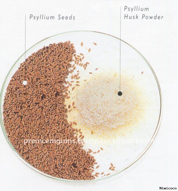Psyllium Health Benefits & Side Effects TuDiem's Corner