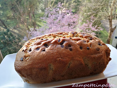 PLUMCAKE CON GOCCE DI CIOCCOLATO