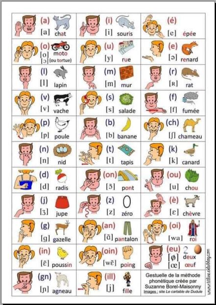 Les alphabets colorés et les syllabes