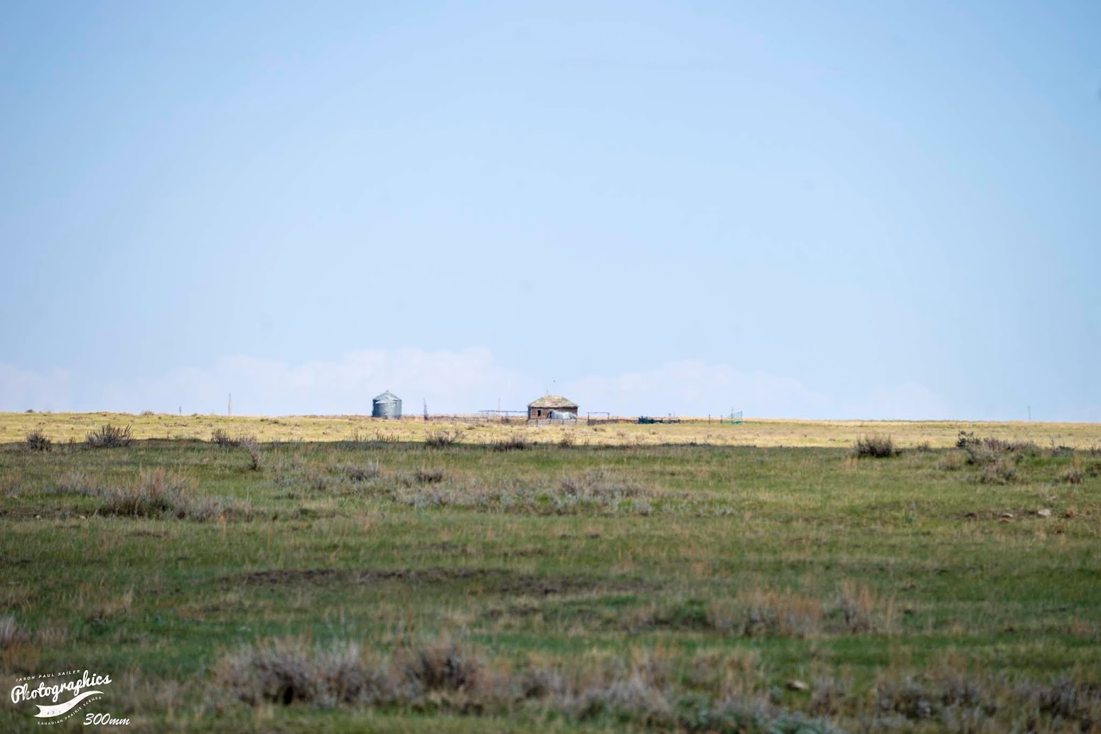 The view from here Abandoned House Cypress County, AB