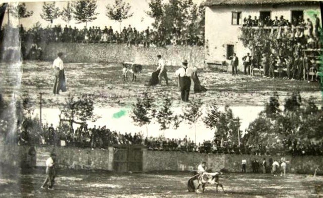 LLANES TOROS