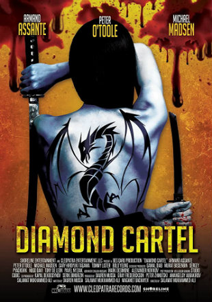 Diamond Cartel 2017 WEBRip 300Mb Hindi Dual Audio 480p