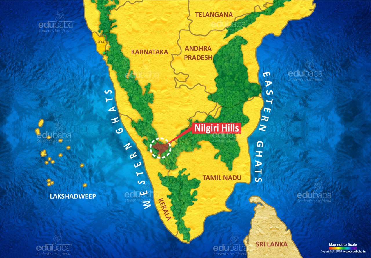 Nilgiri Hills nilgiri-hills