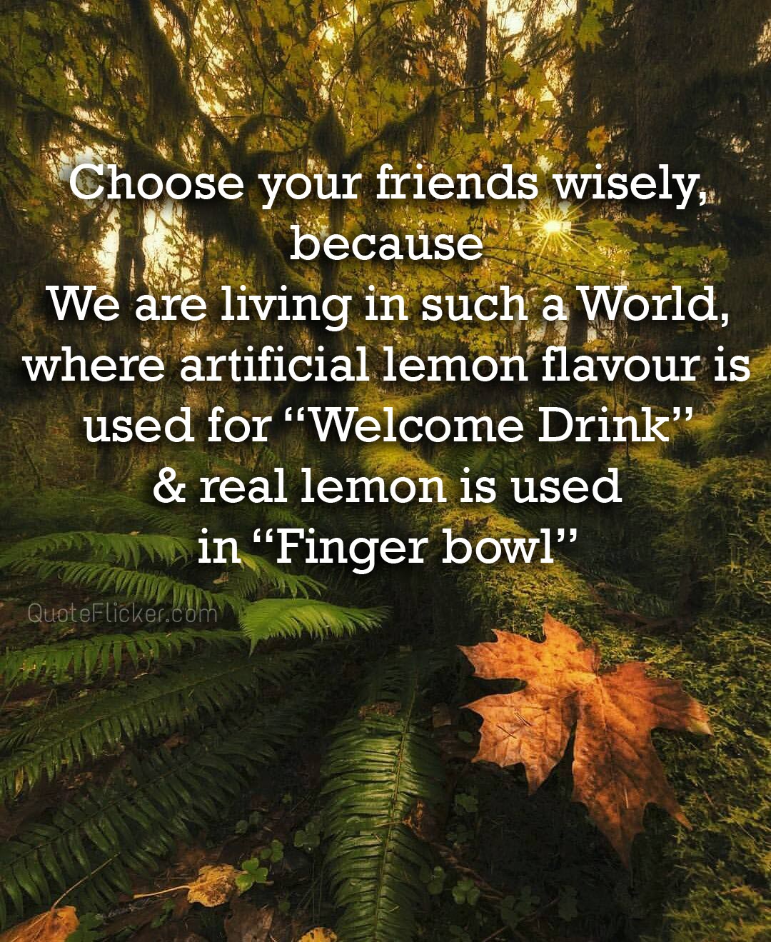 Quotes Collection - All Post