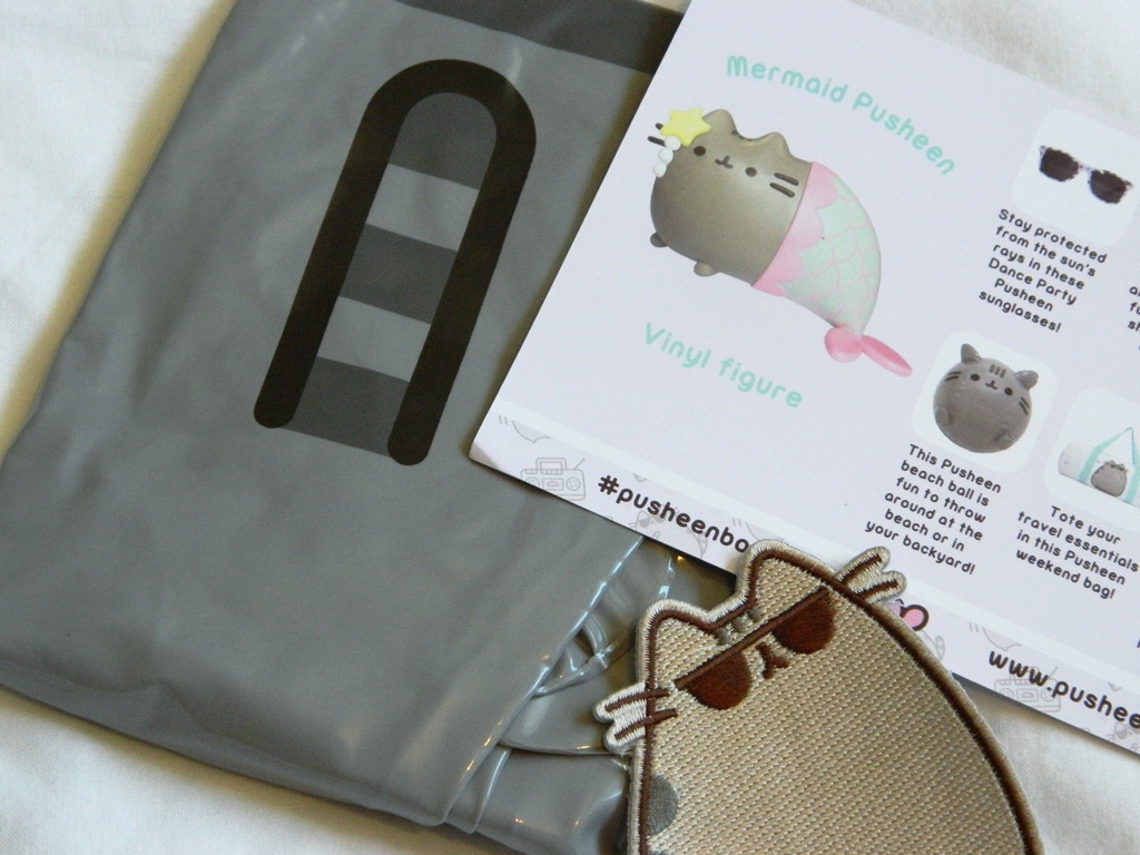 Pusheen Box Summer Edition Review Raiin Monkey
