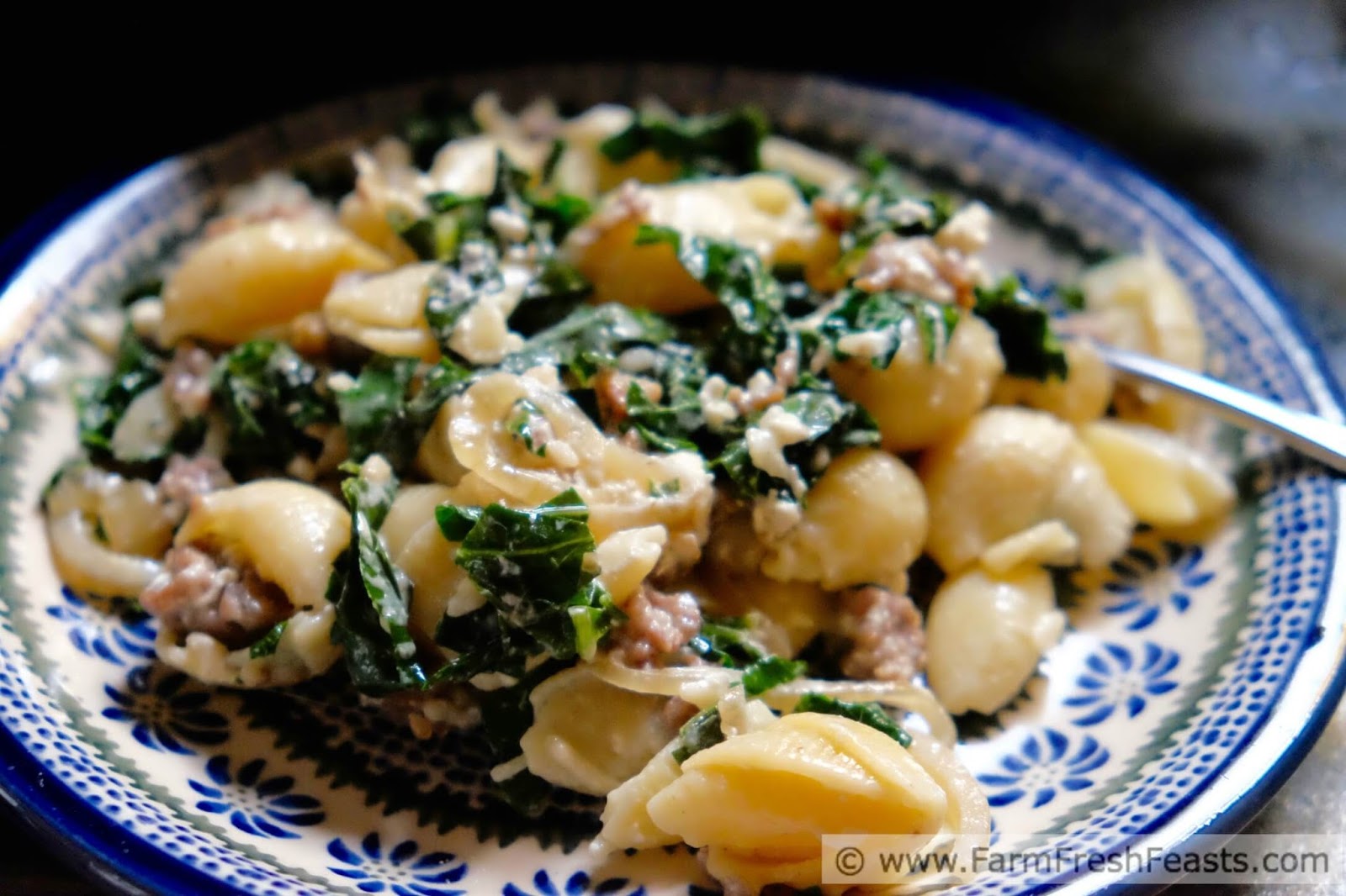 Farm Fresh Feasts Kale and Sausage Burrata Pasta with Caramelized Onions
