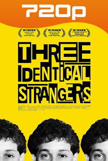 Tres Idénticos Desconocidos (2018) HD 720p Latino