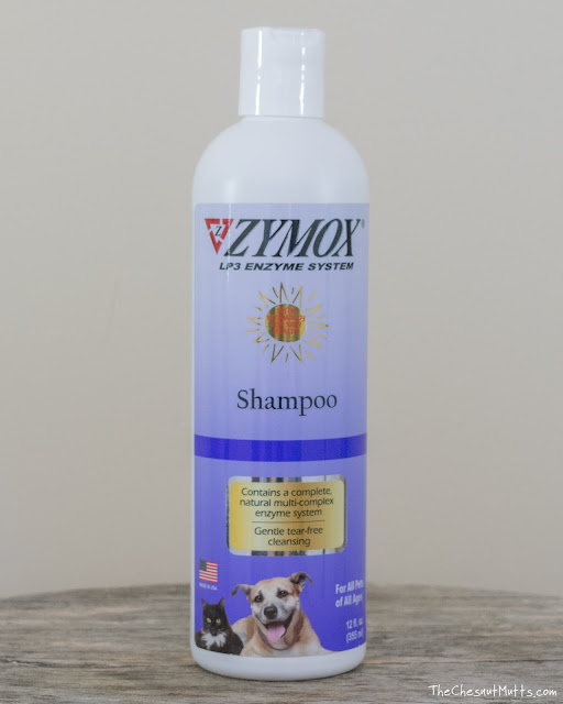 Zymox dog shampoo for hot spots
