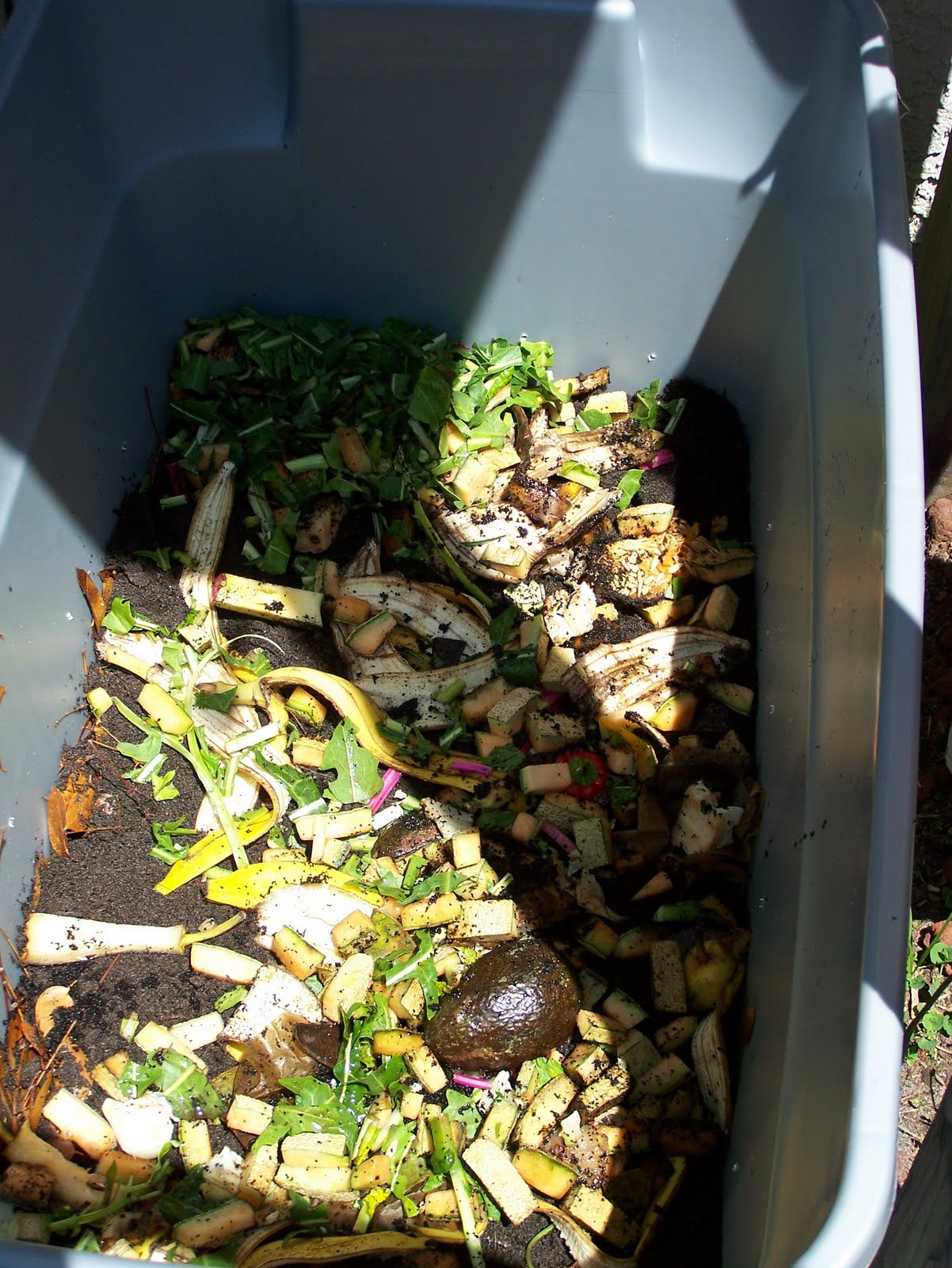 Constructing a Compost Bin, Planting a Pineapple, and SpirulinaHands