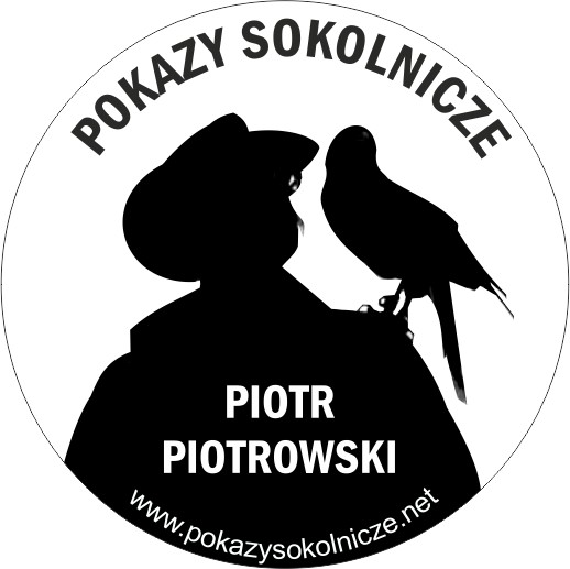 Pokazy Sokolnicze