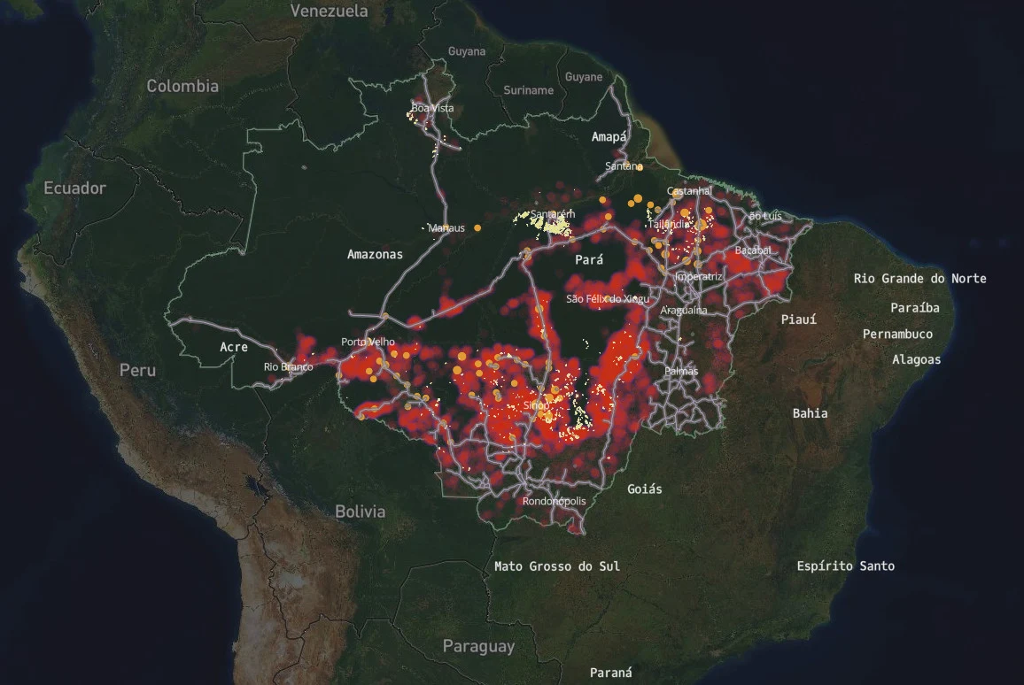 Degradation of the Amazon Rainforests