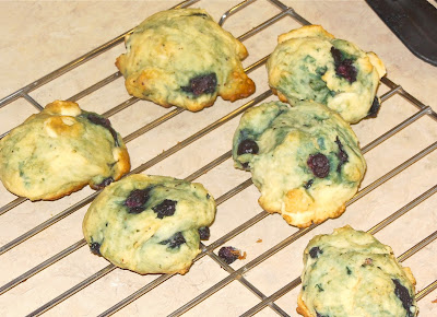 Lori's Culinary Creations: Blueberry Chocolate Cream Cheese Cookies {Guest Post at Mom's Test Kitchen}