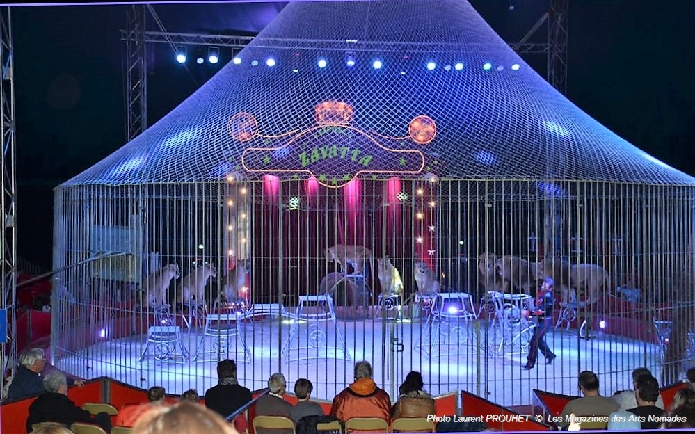 LES MAGAZINES DES ARTS NOMADES Début