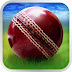 Cricket WorldCup Fever Android Apk Game Free Download