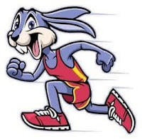 Bunny Runner