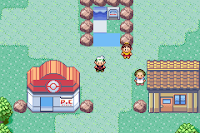 Pokemon FGC Screenshot 04