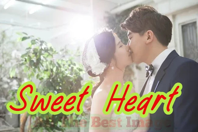 36+ Best Kiss Images For Love Download HD 36+ Best Kiss Images For Love Download HD
